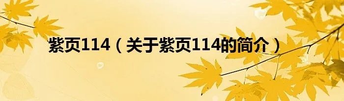 紫页114（关于紫页114的简介）