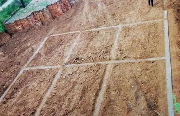 美女村姑12万建别墅 成果震撼世界（组图）