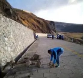 长白山景区再通告说明推迟开放的原因吗？