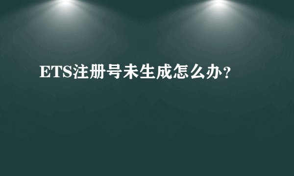 ETS注册号未生成怎么办？