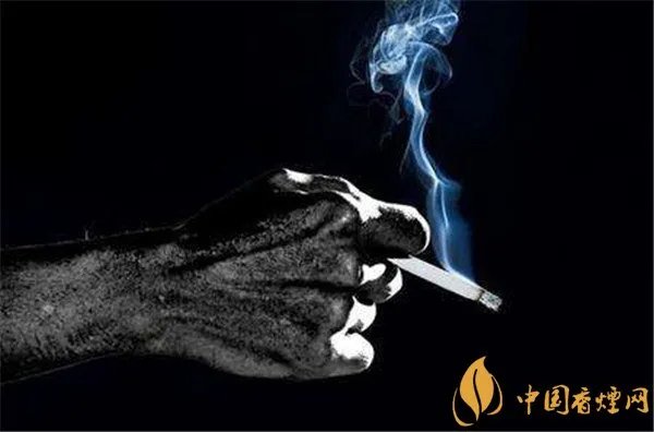 戒烟烟嘴怎么样 能戒烟的烟嘴99能量烟嘴