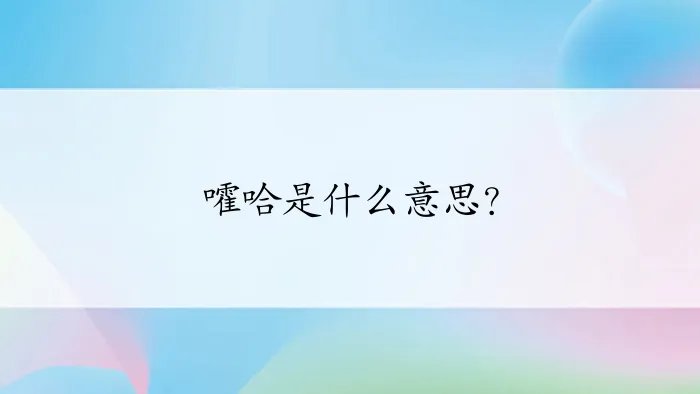 嚯哈是什么意思？