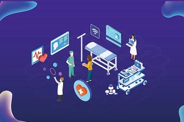 苏子叶的功效与作用及食用方法