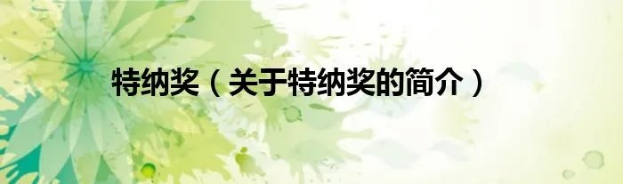 特纳奖（关于特纳奖的简介）