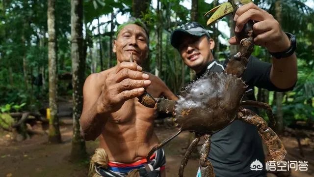 除了《游钓中国》，你还喜欢什么钓鱼类视频？