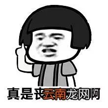 所言甚是什么意思