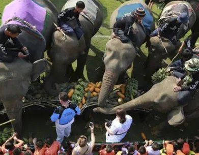 泰国为何办象球锦标赛？