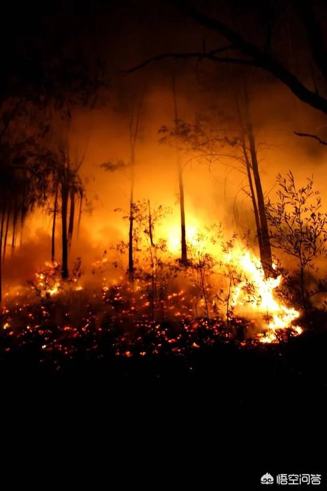 四川山火30名扑火队员遇难