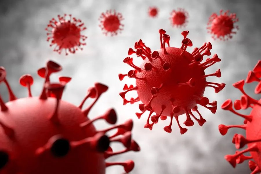 新冠病毒结束了吗