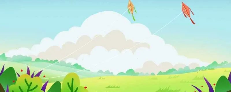 闰年全年有多少天