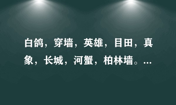 白鸽，穿墙，英雄，目田，真象，长城，河蟹，柏林墙。这些词是什麼意思？