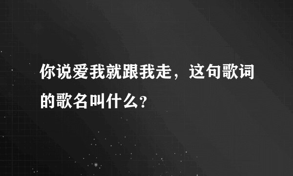 你说爱我就跟我走，这句歌词的歌名叫什么？