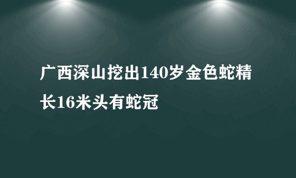 广西深山挖出140岁金色蛇精 长16米头有蛇冠