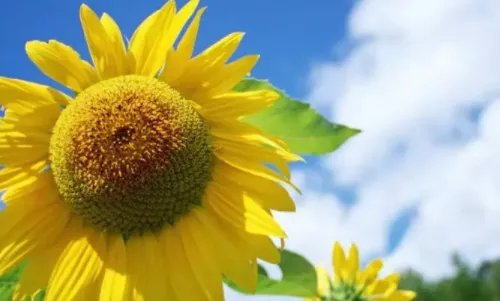 水命的人命运如何 水命的人忌讳什么