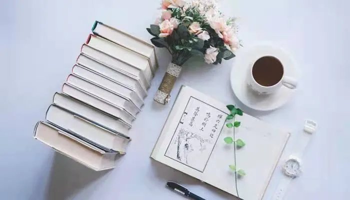 把人比喻为种马是什么意思