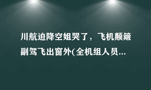 川航迫降空姐哭了，飞机颠簸副驾飞出窗外(全机组人员生死攸关)_飞外
