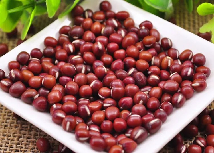 红豆的功效与作用