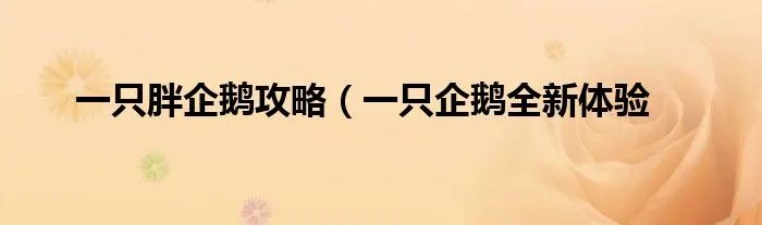 一只胖企鹅攻略(一只企鹅全新体验