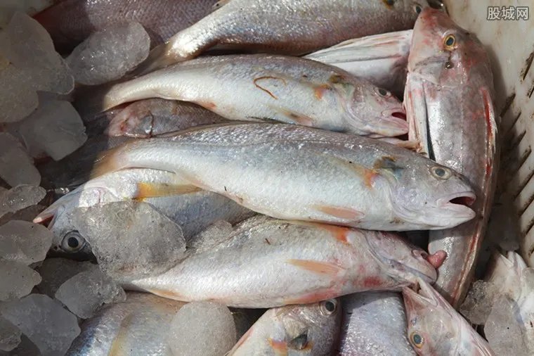 海产品走私捣毁 抓获嫌犯35人案值约8亿人民币