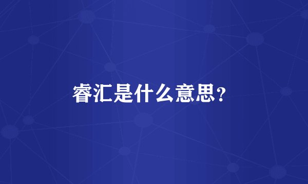 睿汇是什么意思？