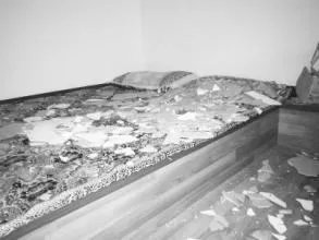 天花板上掉下男子是怎么回事?