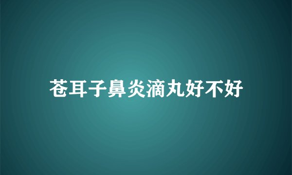 苍耳子鼻炎滴丸好不好