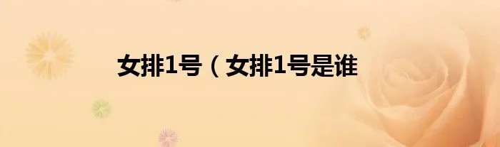 女排1号（女排1号是谁