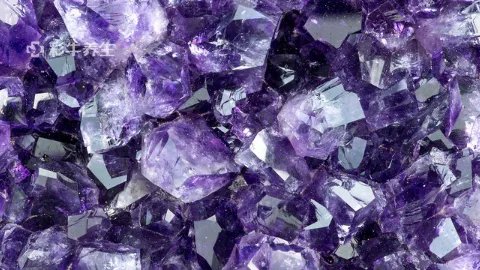 紫水晶的作用与功效