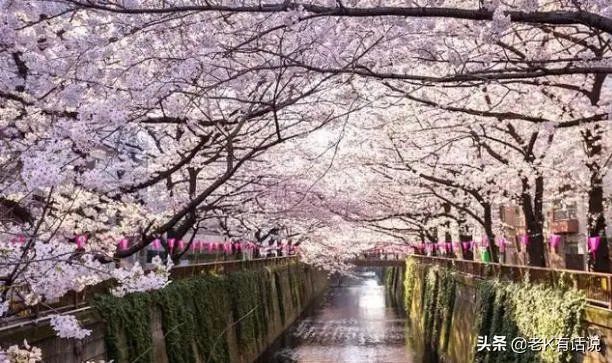 东京奥运会延期到2021年，那么下一届奥运会会不会继续按照四年一届举行？