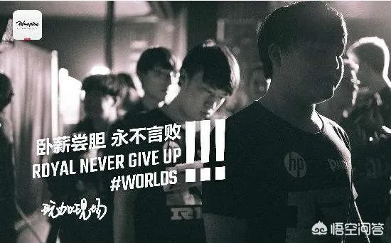 rng新上单曝光，网友说这波稳了，你怎么看？