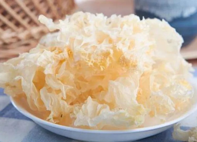 白木耳的功效与作用