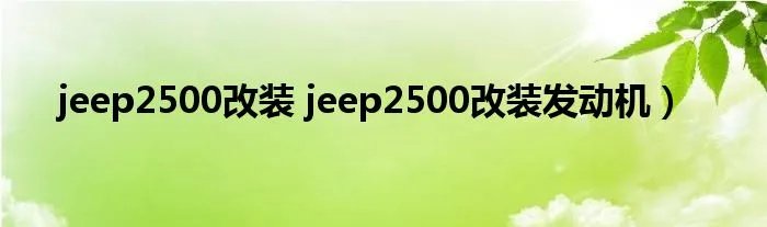 jeep2500改装 jeep2500改装发动机）