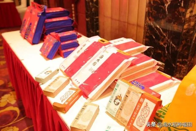 海水稻真的能试种成功吗？