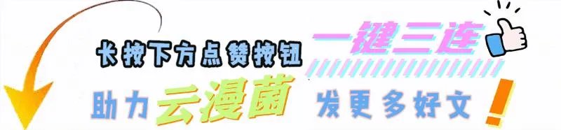 这是一张非常邪恶的图（为何比比东是唯一的邪恶）