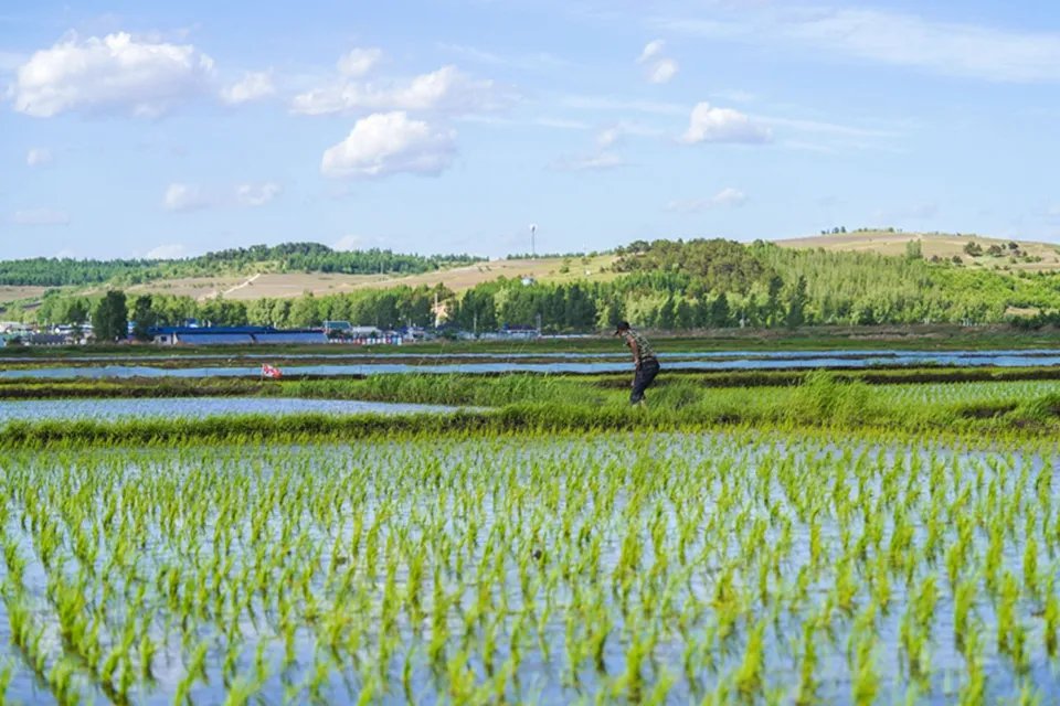 延边在哪里在哪个省份 延边朝鲜族自治州有什么风景名胜