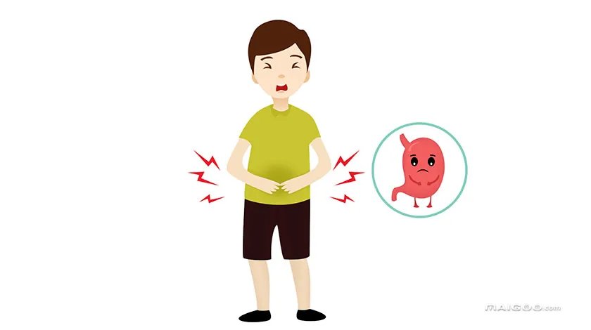 胃在哪个位置图 胃的位置图 胃的结构图