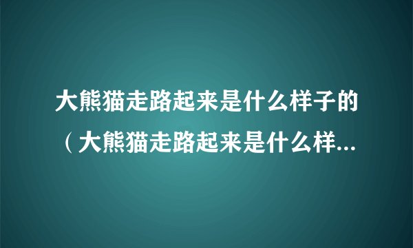 大熊猫走路起来是什么样子的（大熊猫走路起来是什么样子的图片）-飞外