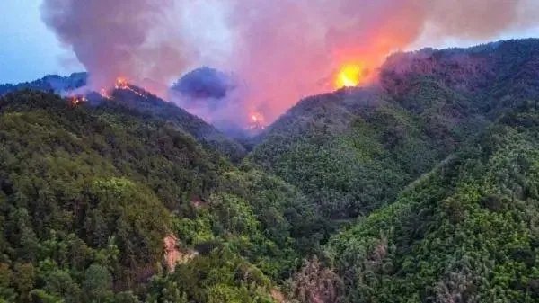 重庆大足区山火燃烧一夜未灭，此次火灾发生的原因是什么？