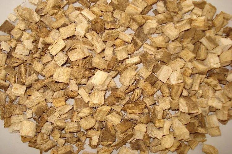 葛根图片大全大图