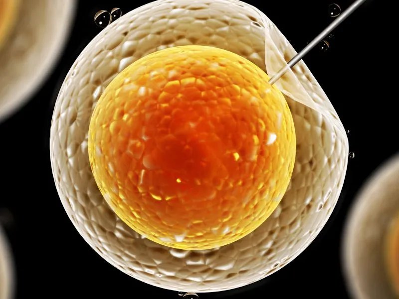 亲子鉴定的做法是什么