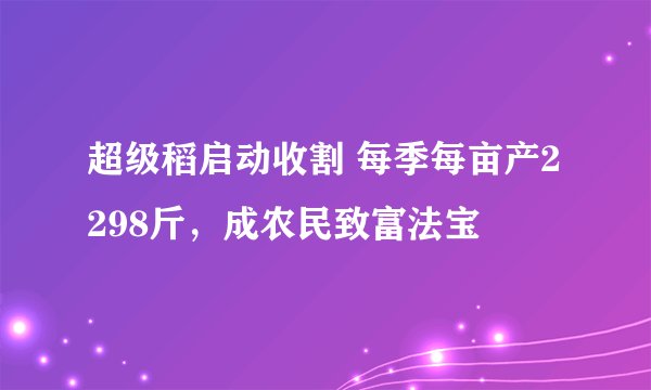超级稻启动收割 每季每亩产2298斤，成农民致富法宝
