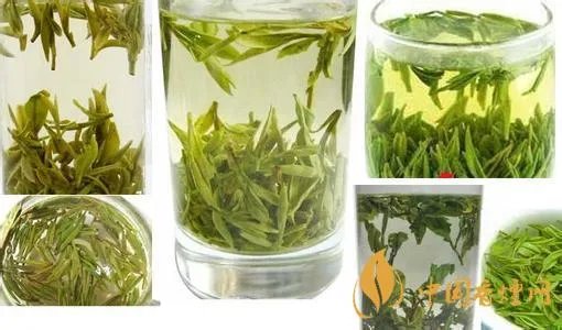 信阳毛尖更名茅台是怎么回事 信阳毛尖更名茅台有什么影响