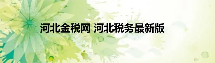 河北金税网 河北税务最新版