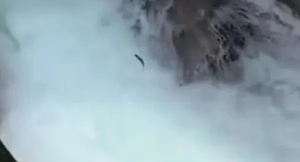 景区上演鱼跃龙门，大自然为何总能给人类惊喜？