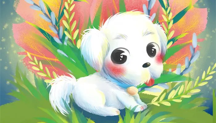 82年五行属什么 82年属狗五行属什么命