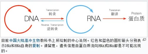 这才是“基因修改”的正确姿势:人类脑细胞自己修改DNA!