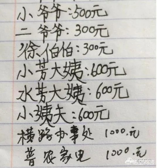 如何看待11岁男孩欠下“巨额债务”？