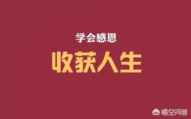 怎么看90后学霸找不到工作踹母亲?