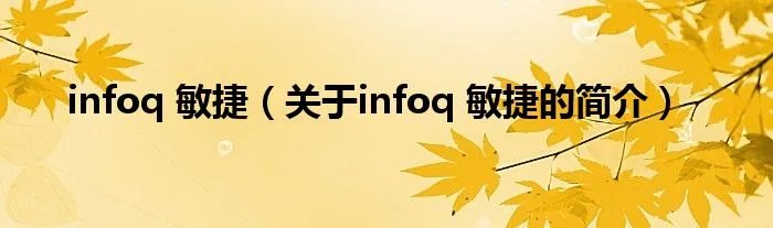 infoq 敏捷（关于infoq 敏捷的简介）