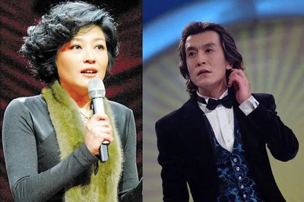 哈文的个人资料简介 哈文离开央视原因